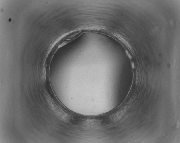 X0000083620584200702260955