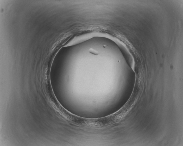 X0000083620585200702260955