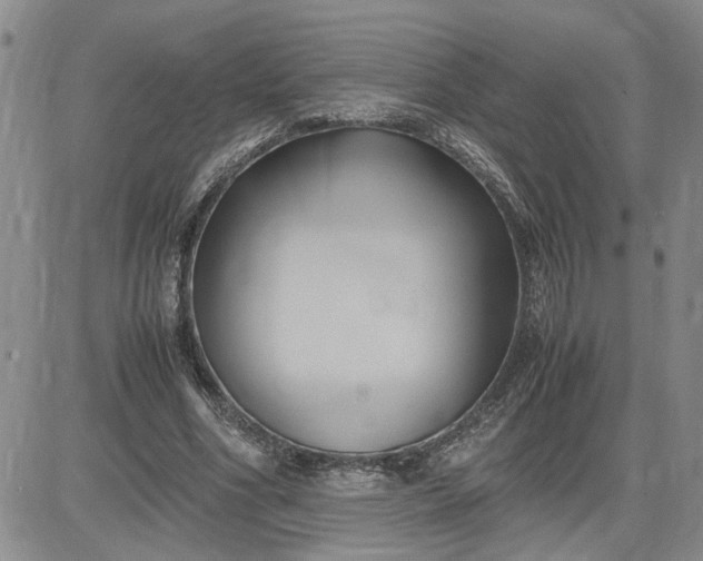 X0000083620586200702260955