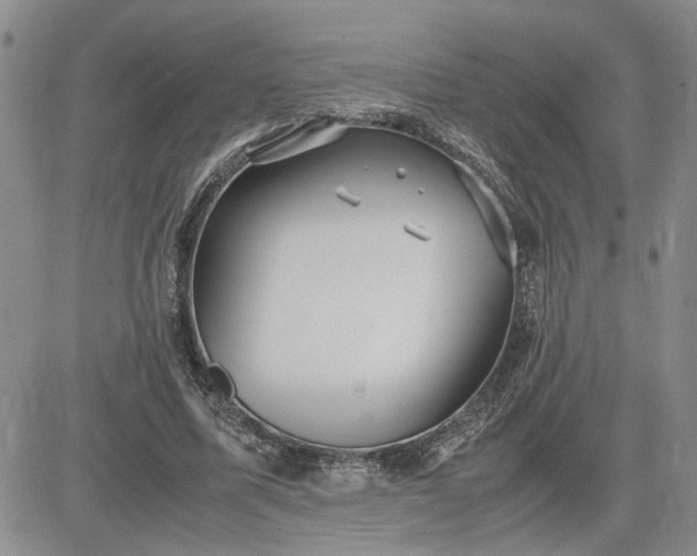 X0000083620587200702260955