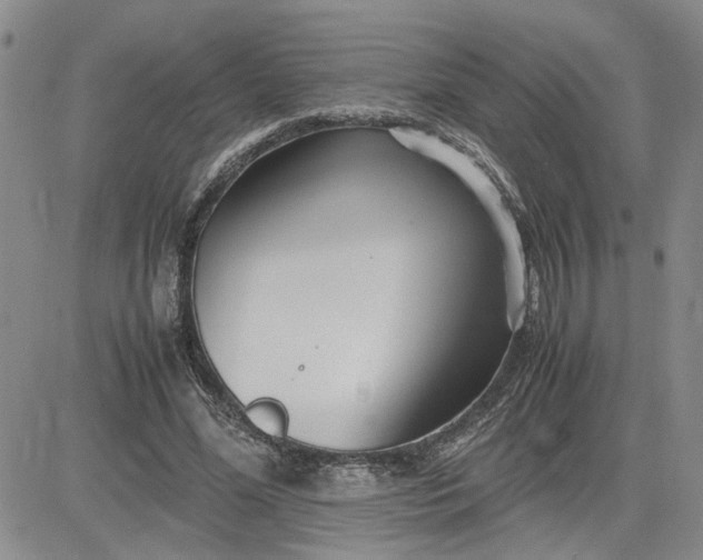 X0000083620588200702260955