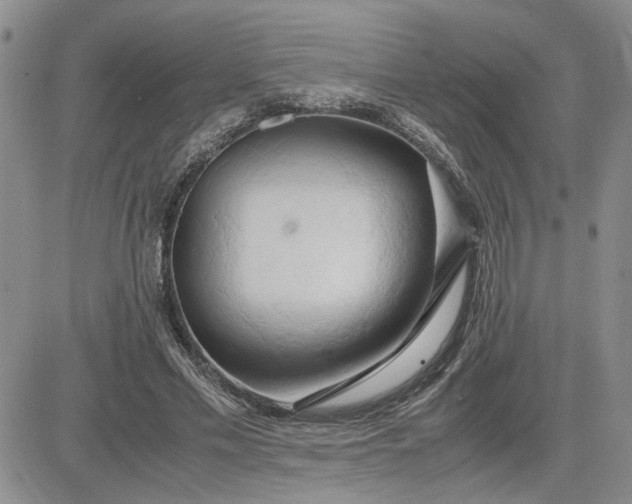 X0000083620589200702260955