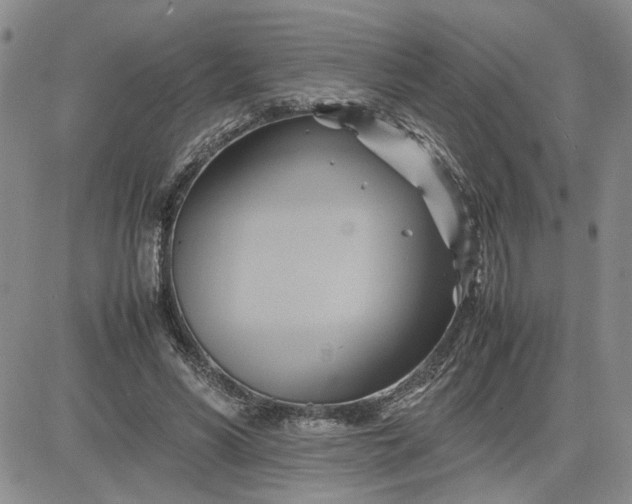 X0000083620590200702260955