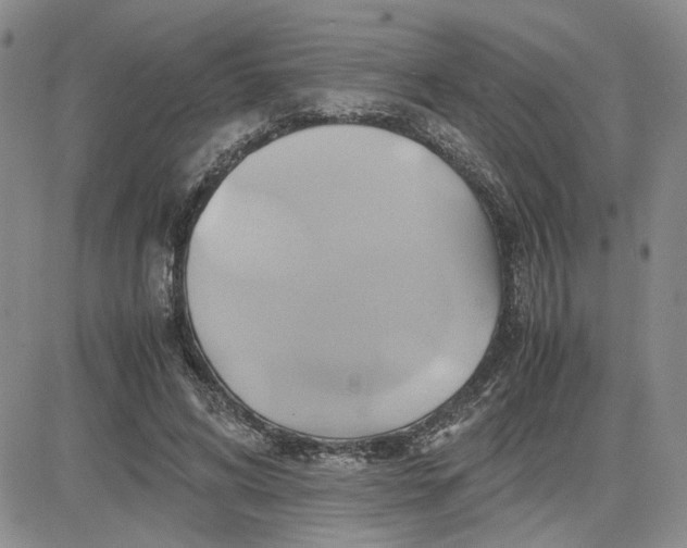 X0000083620592200702260955