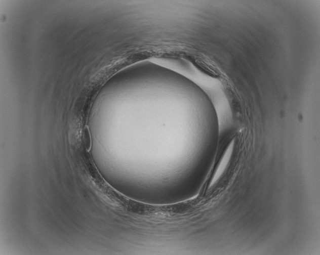 X0000083620593200702260955