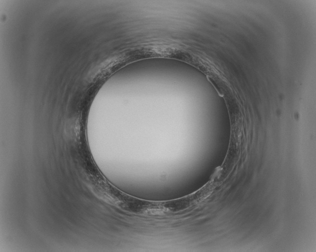 X0000083620595200702260955