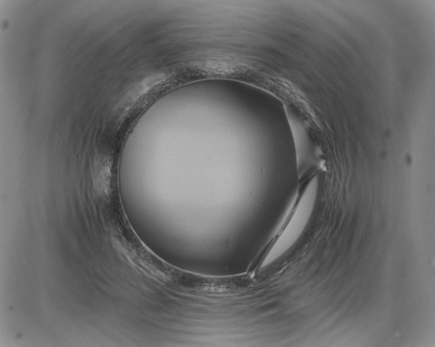 X0000083620596200702260955