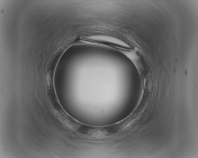 X0000083620597200702260955