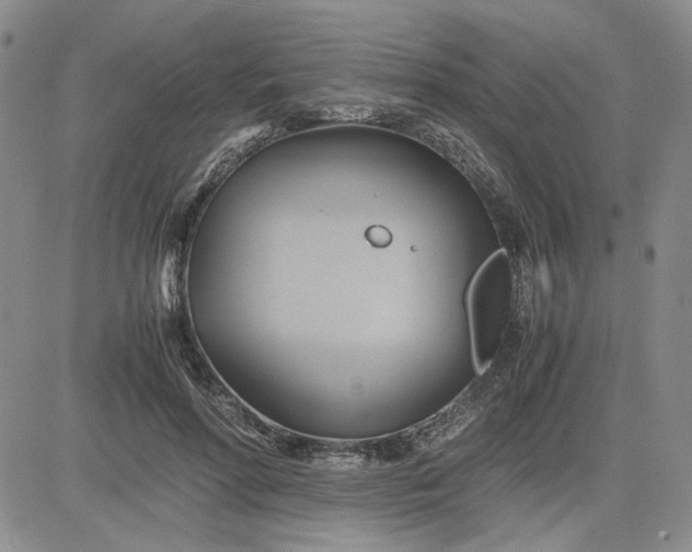 X0000083620598200702260955