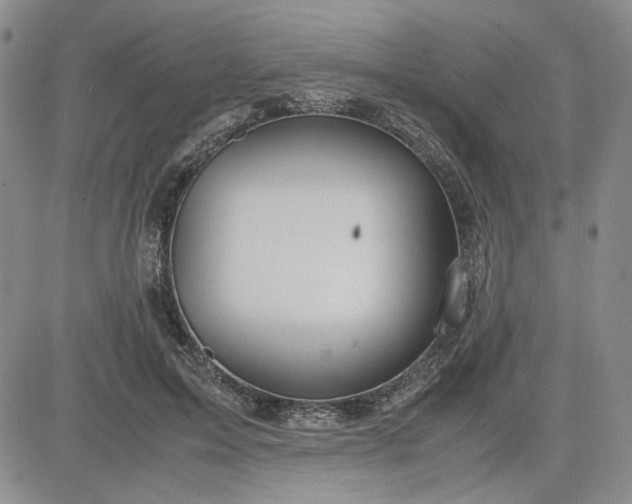 X0000083620599200702260955