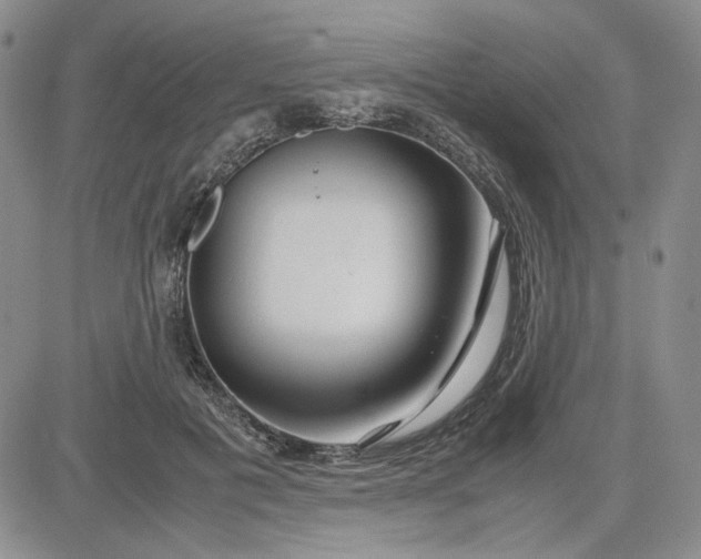 X0000083620601200702260955