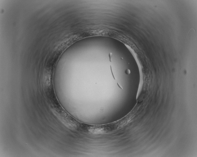 X0000083620602200702260955