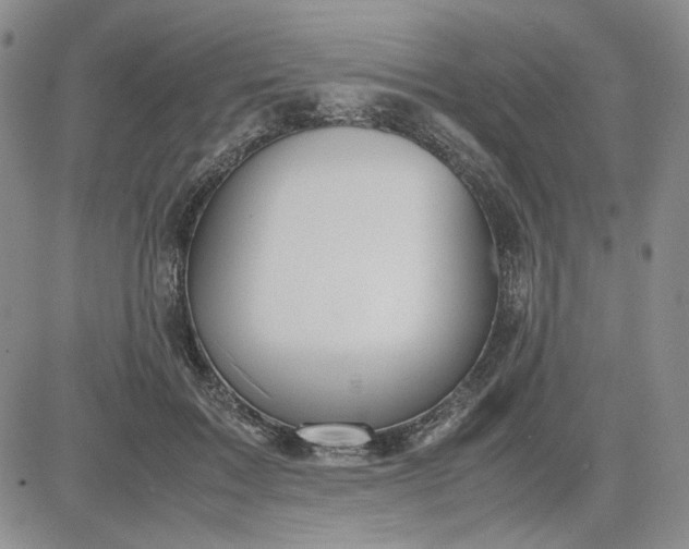 X0000083620603200702260955