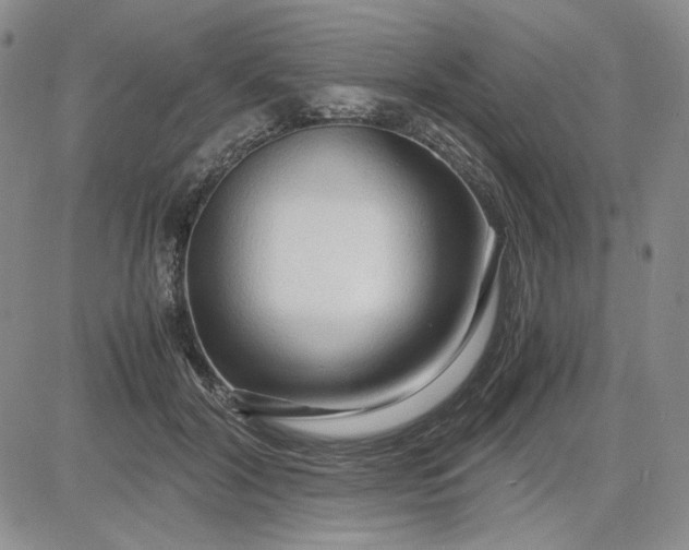 X0000083620604200702260955