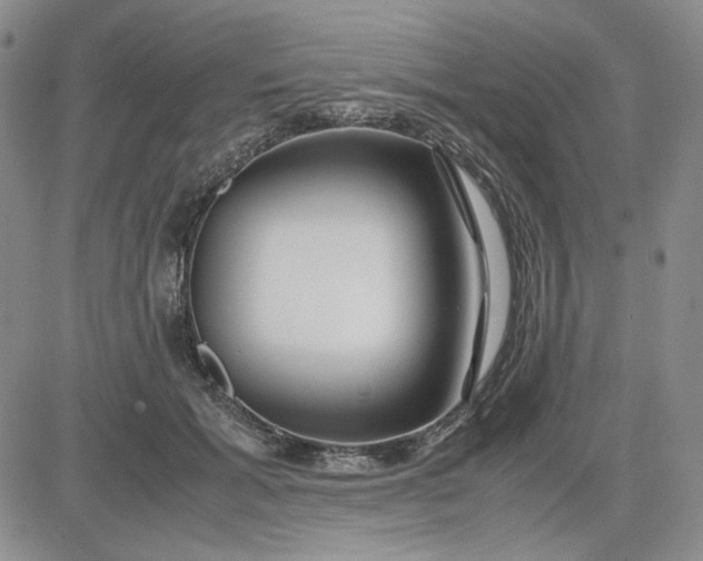 X0000083620605200702260955