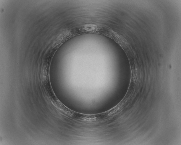 X0000083620606200702260955