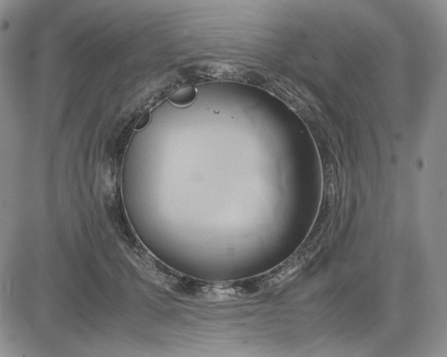 X0000083620607200702260955