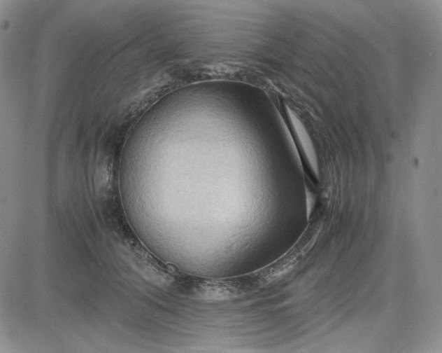 X0000083620608200702260955