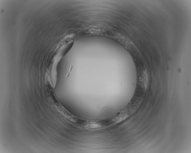 X0000083620610200702260955