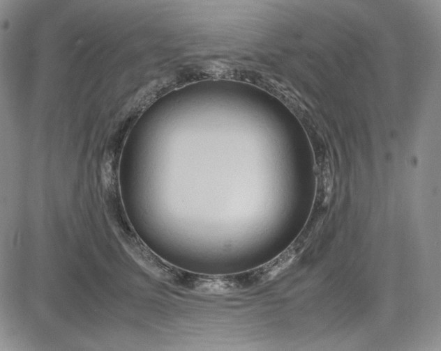 X0000083620611200702260955