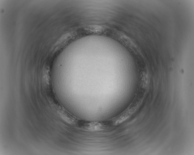 X0000083620612200702260955