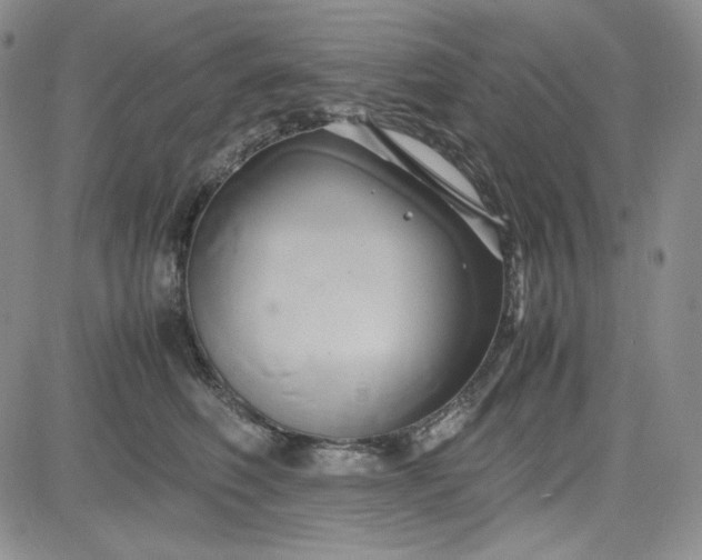 X0000083620614200702260955