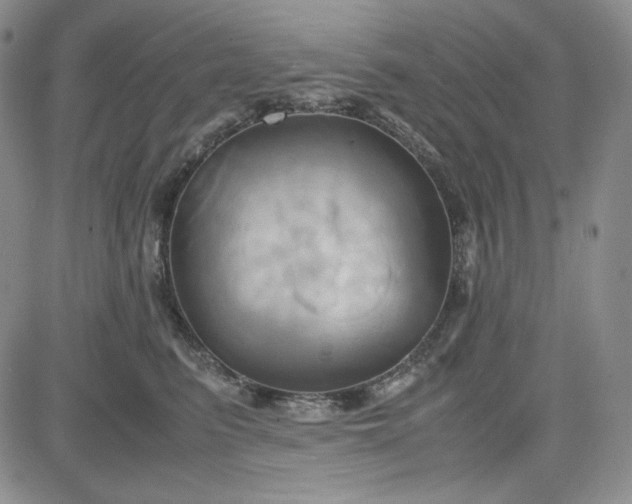 X0000083620615200702260955