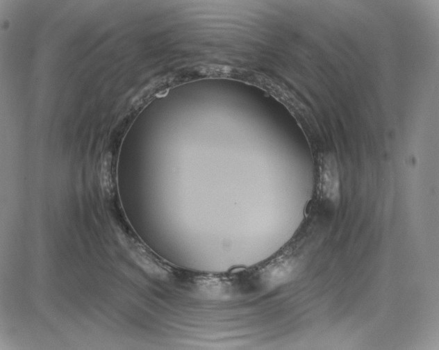 X0000083620616200702260955