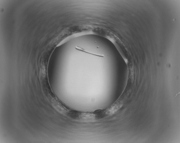 X0000083620617200702260955