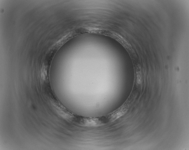 X0000083620618200702260955