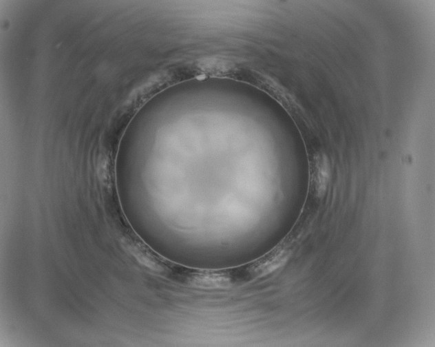 X0000083620619200702260955