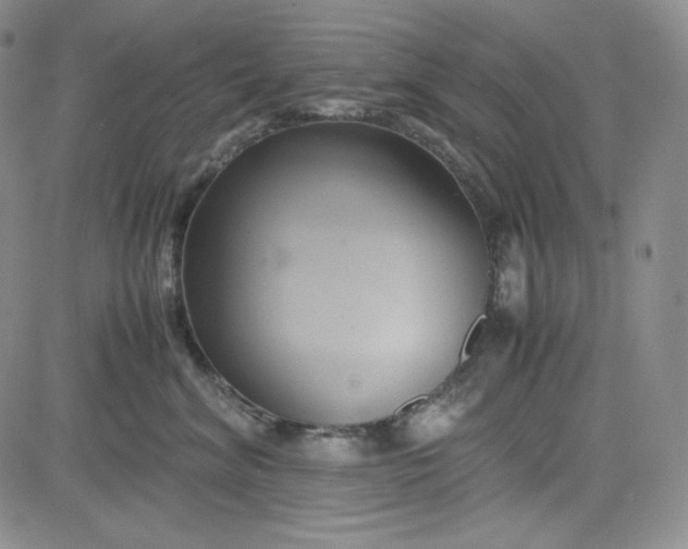 X0000083620620200702260955