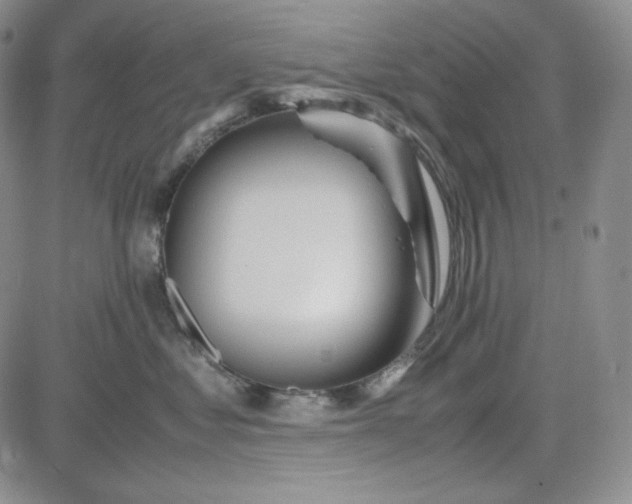 X0000083620621200702260955