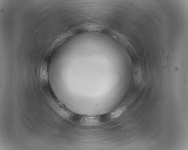 X0000083620622200702260955