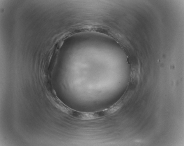 X0000083620623200702260955