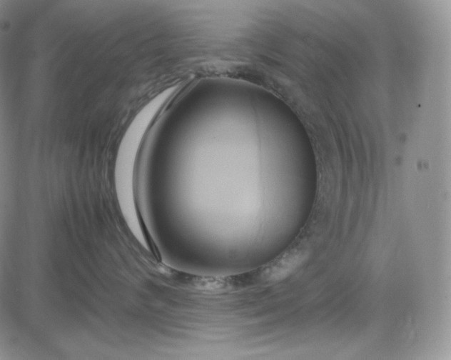 X0000083620624200702260955