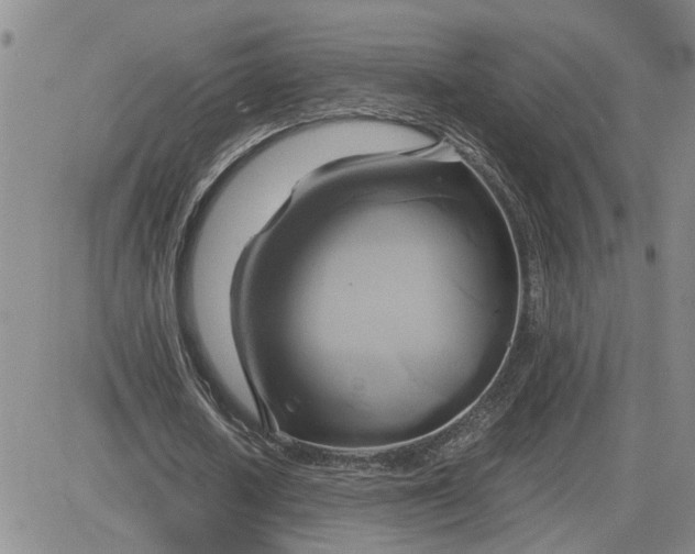 X0000083620626200702260954