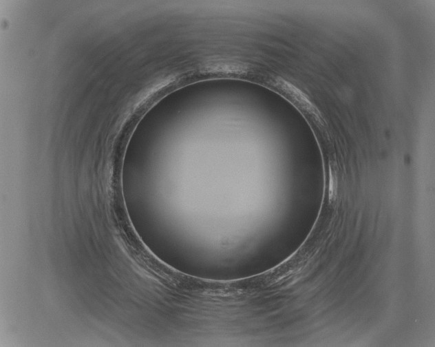 X0000083620627200702260954