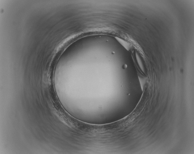 X0000083620628200702260954