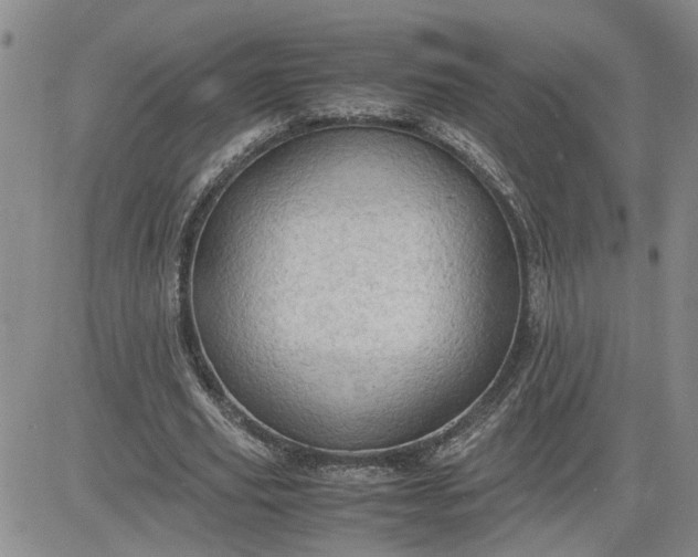 X0000083620629200702260954