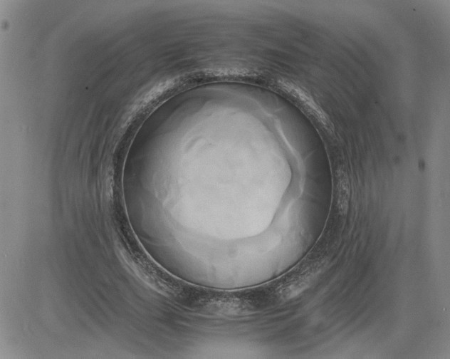 X0000083620631200702260954