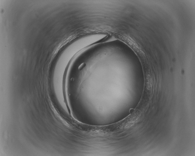 X0000083620634200702260954