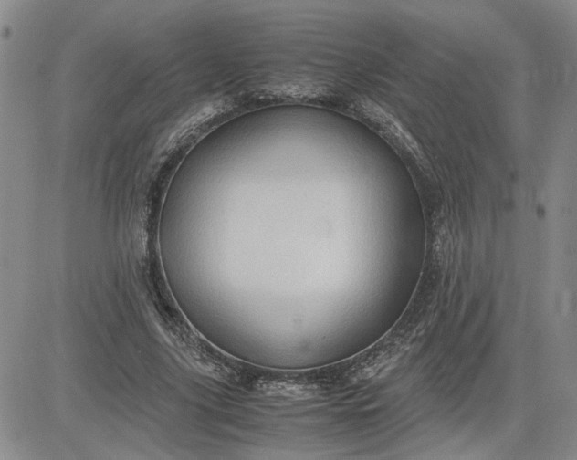 X0000083620635200702260954