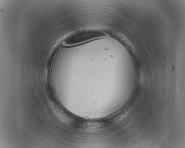 X0000083620636200702260954