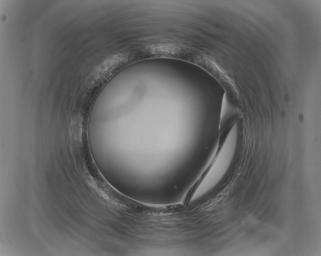 X0000083620637200702260954