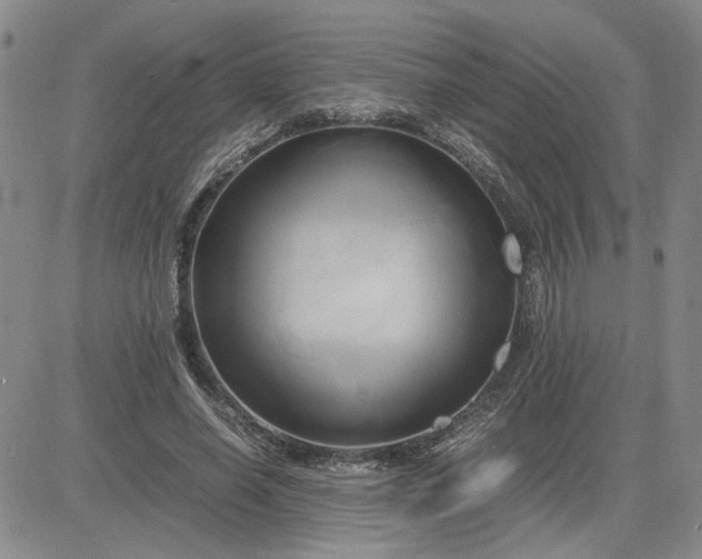 X0000083620638200702260954