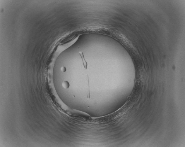 X0000083620640200702260954