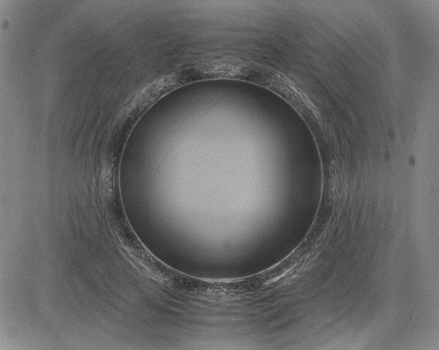 X0000083620641200702260954