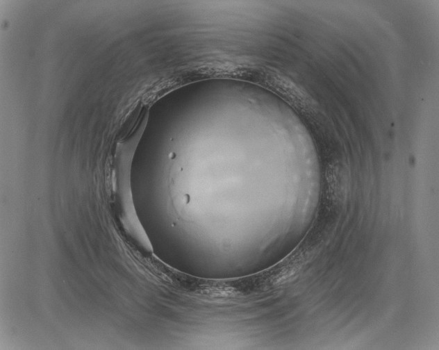 X0000083620642200702260954