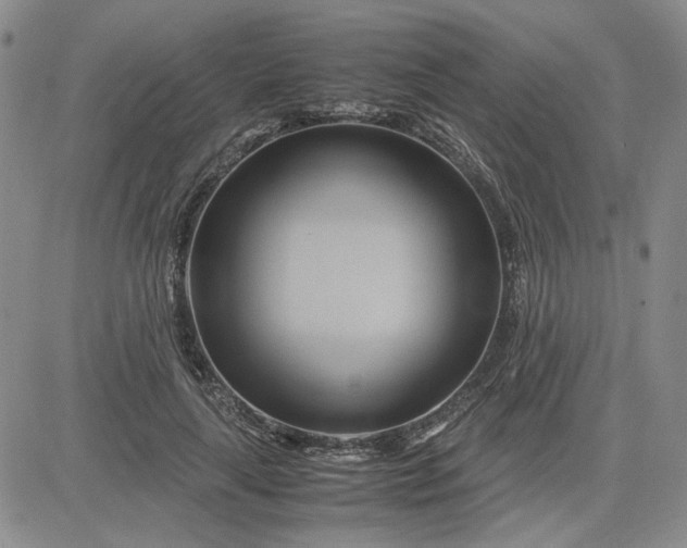 X0000083620643200702260954